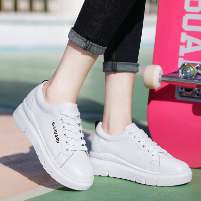 星空·综合体育官方网站