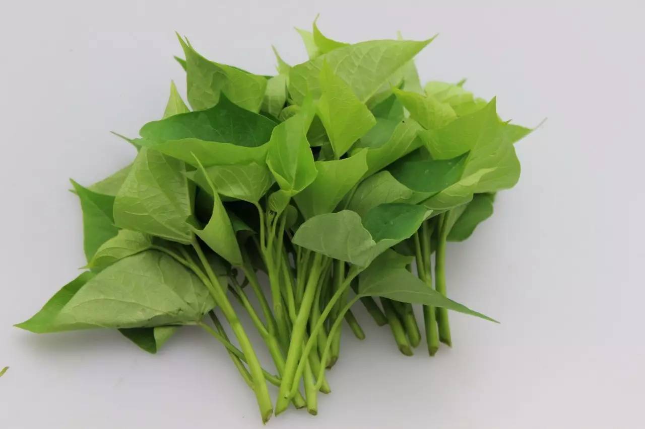 星空·综合体育官方网站