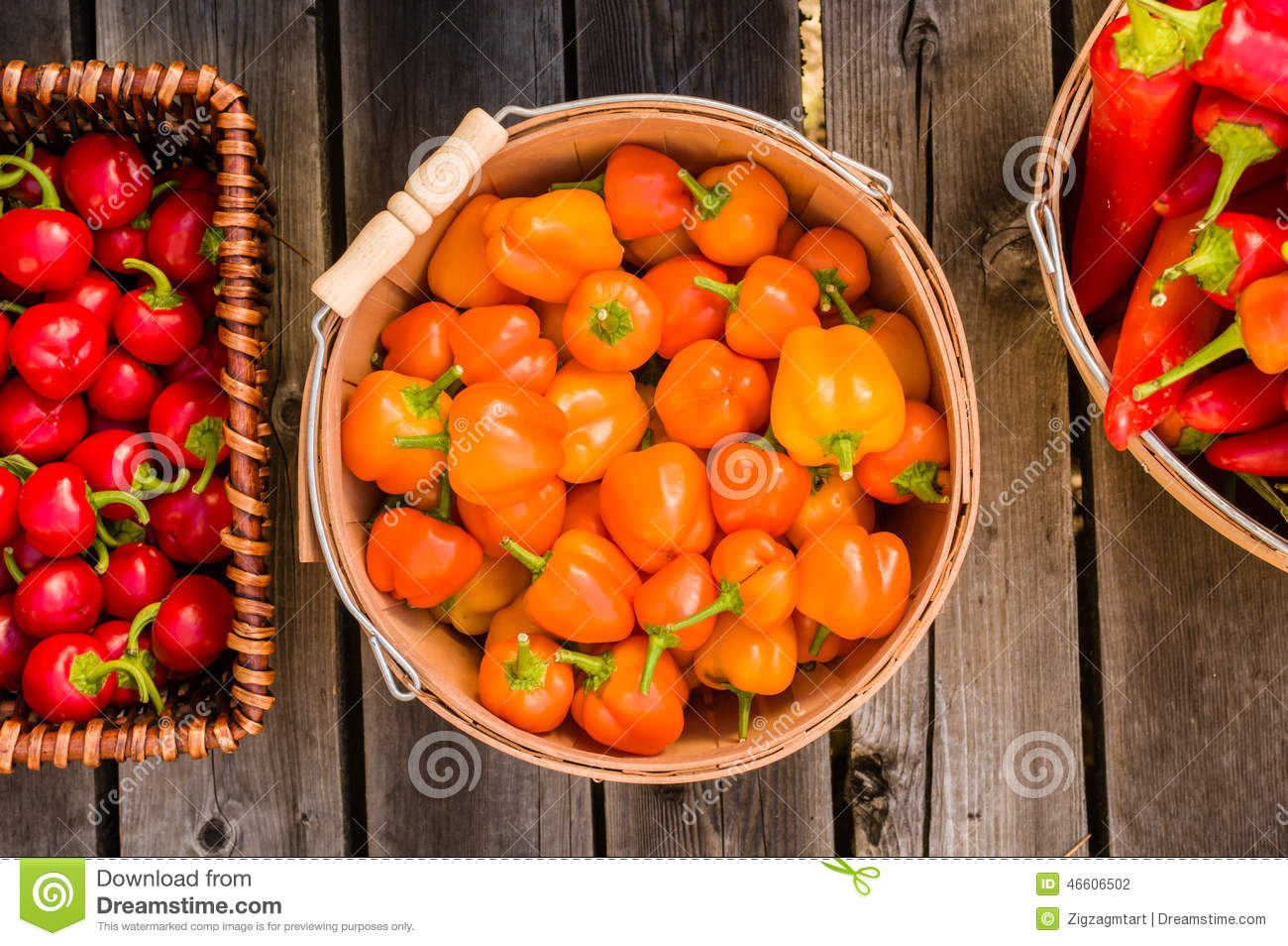 星空·综合体育