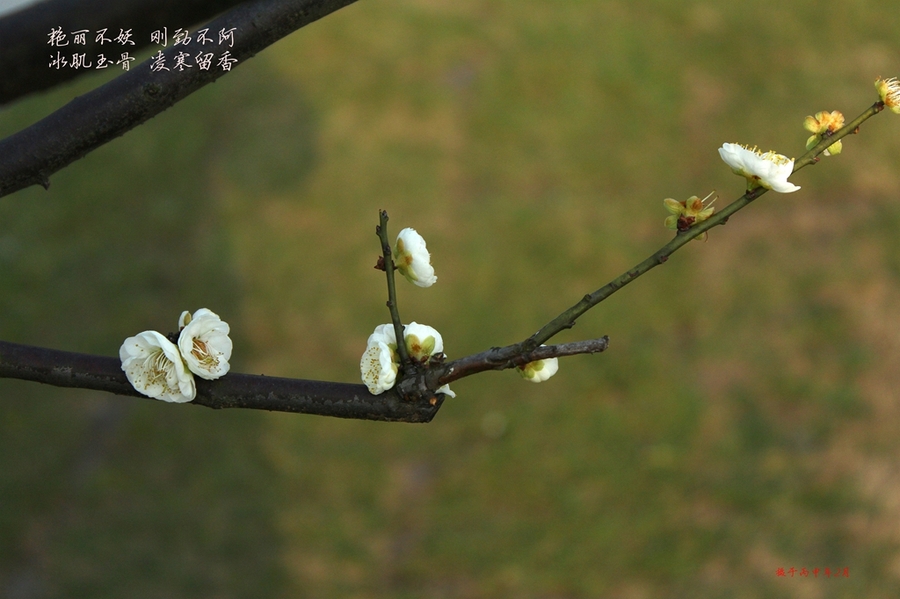 星空·综合体育官方网站