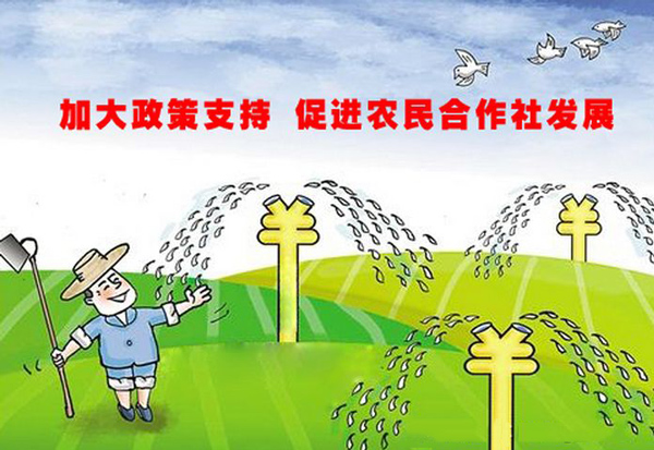 星空·综合体育