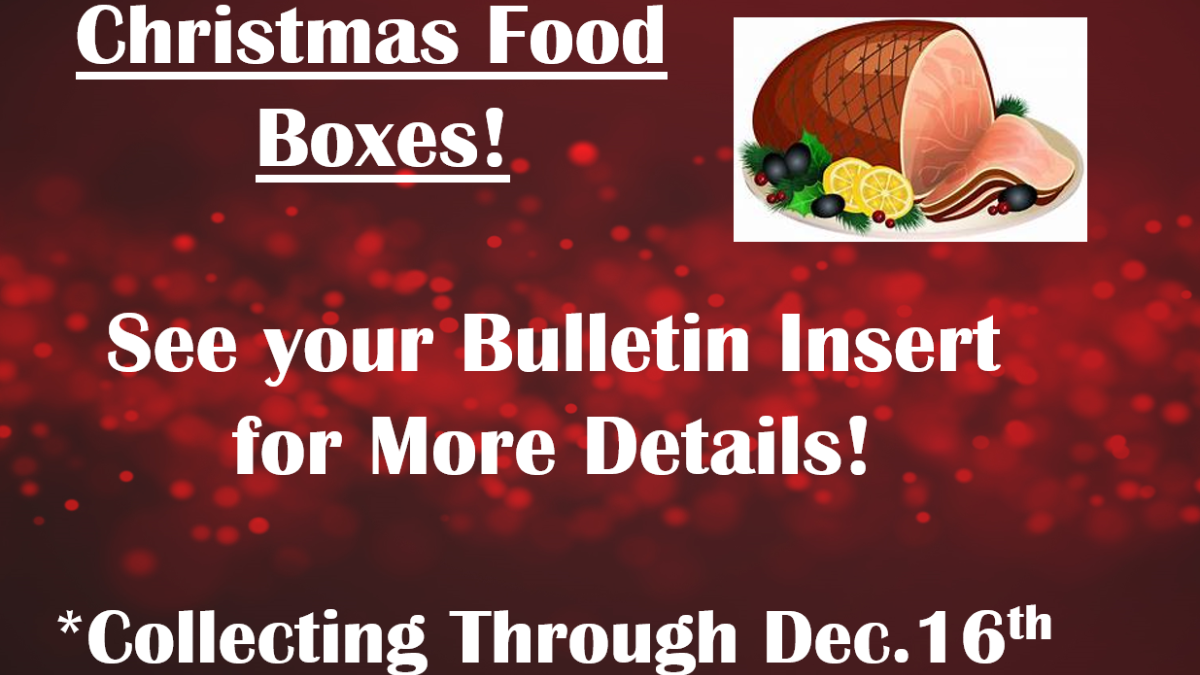 星空·综合体育