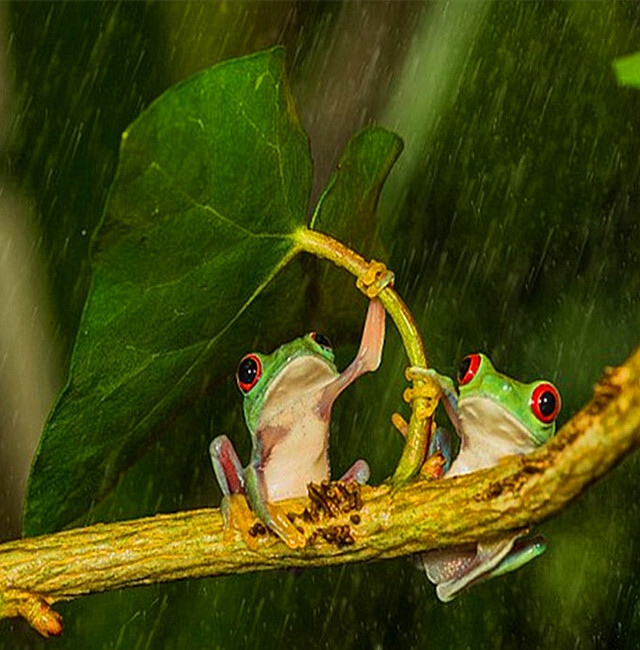 星空·综合体育中国官方网站