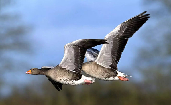 星空·综合体育官方网站