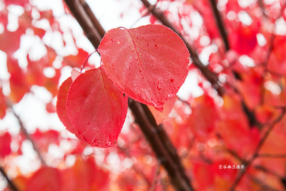 星空·综合体育